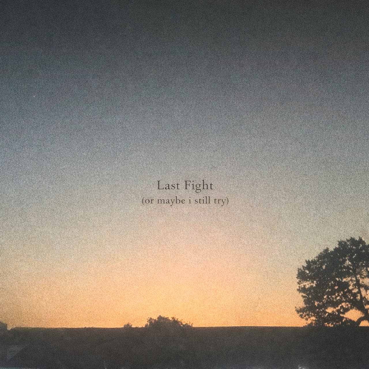 ART WORK - LAST FIGHT